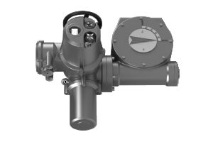 Ридан 065L8219R — Электропривод AMB-M-45 + MY-6-1SD 380В без блока управления; IP67; для шаровых кранов RJIP DN600 стандартный проход